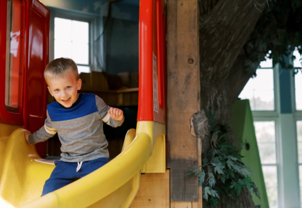 boy going down slide from treehouse