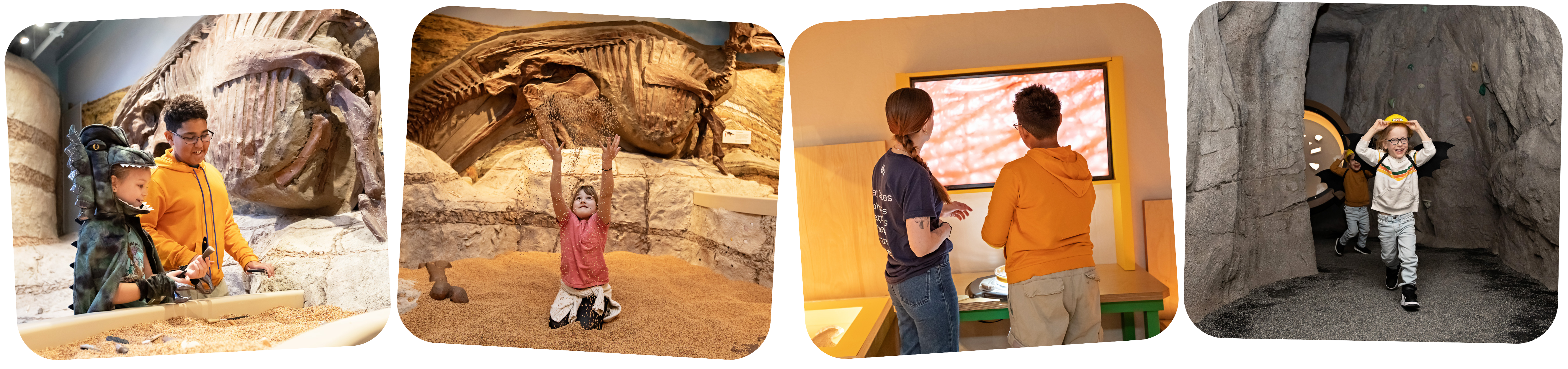 Unearthed Exhibit Photos