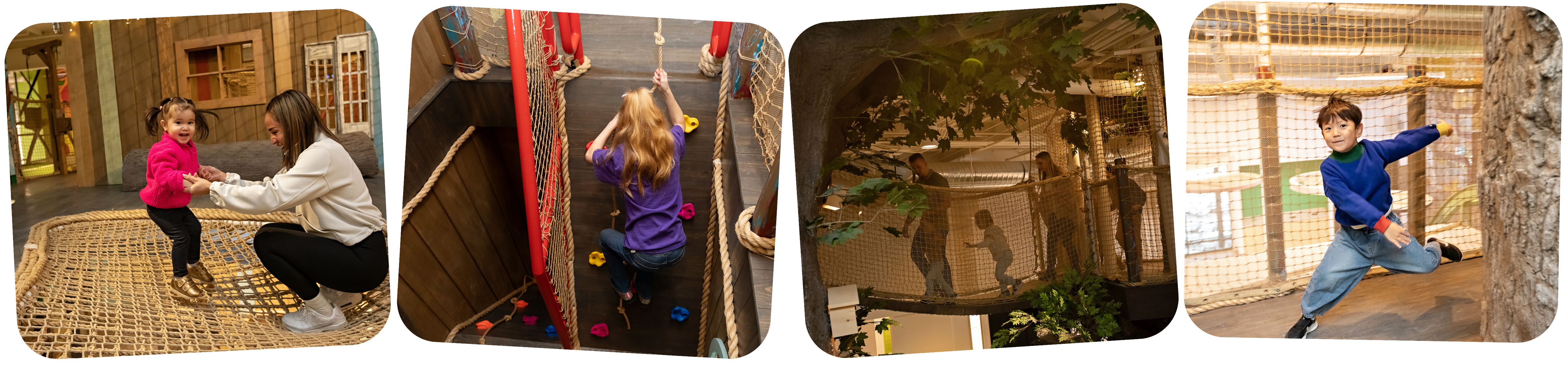 Branching Out Exhibit Photos