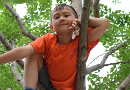 a boy on a tree