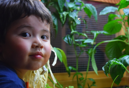 smiling boy with green plants in the background