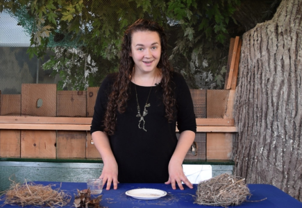 woman in black dress behind a table with twigs near the replica of a tree