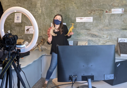 woman in mask holding dinosaur toys with ring light and computer setup in front