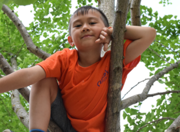 a boy on a tree