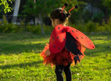 lady bug costume