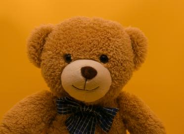 Teddy Bear