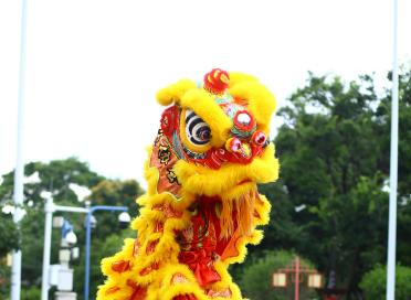 Lion Dancers
