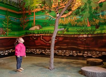 Child in branching out