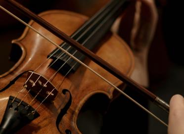 Violin