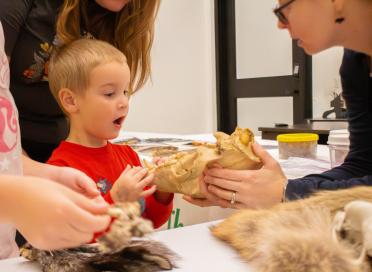 Curator's Corner at the London Children's Museum